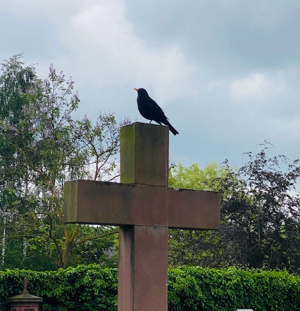 kreuz friedhof