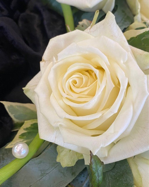 rose-weiss